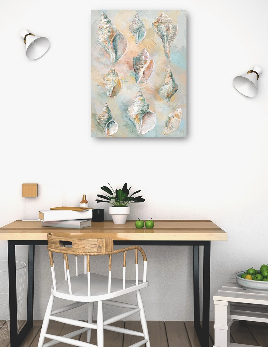 Cuadro decorativo Conchas De Tulipán Impresión En Lienzo técnica mixta Animales Marinos 4
