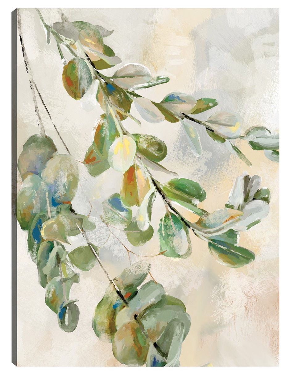 Cuadro decorativo Cultivo Eucalipto Ii Impresión En Lienzo técnica mixta Floración