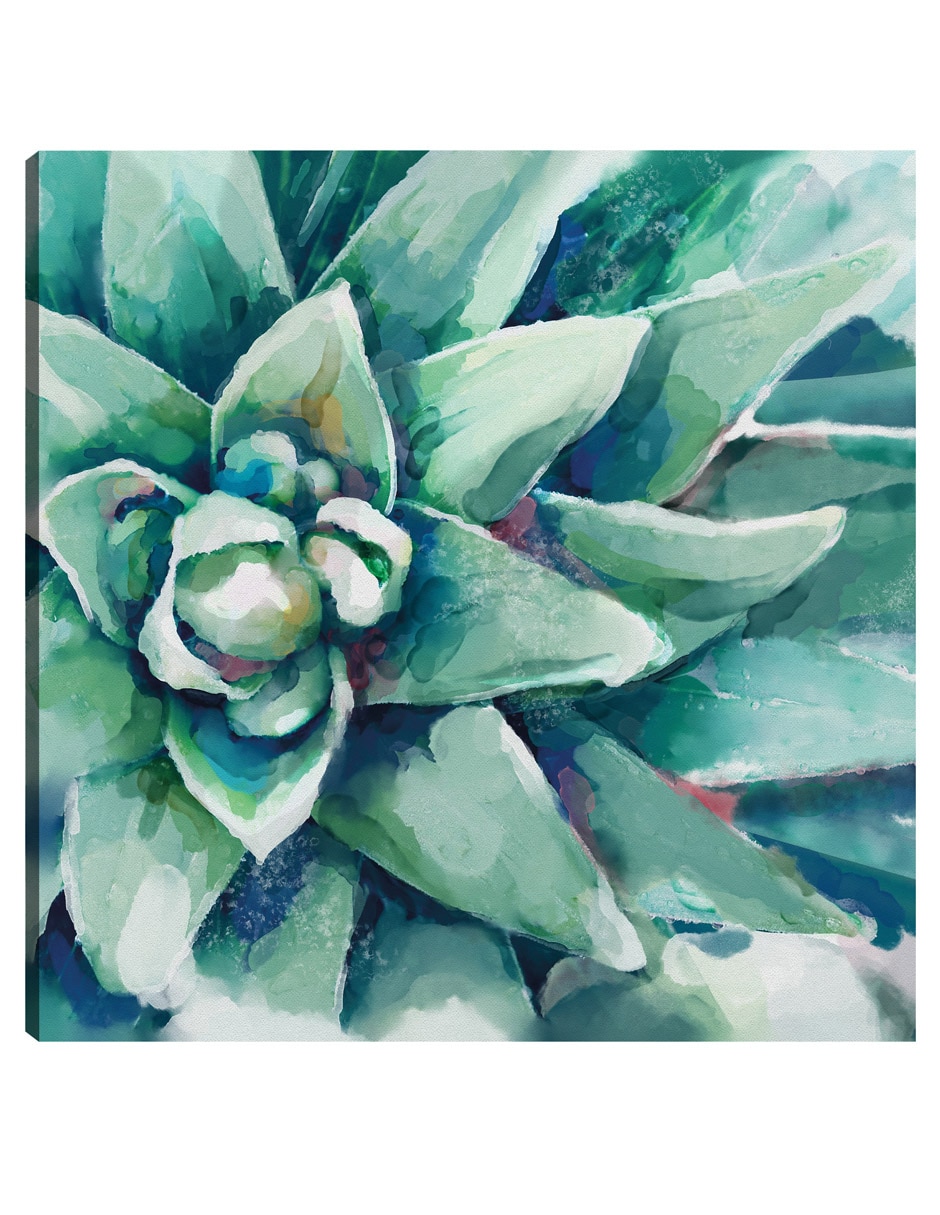 Cuadro decorativo Cuadrado De Flor Suculenta Acuarela Impresión En Lienzo técnica mixta Floración Cuadro decorativo Cuadrado De Flor Suculenta Acuarela Impresión En Lienzo técnica mixta Floración