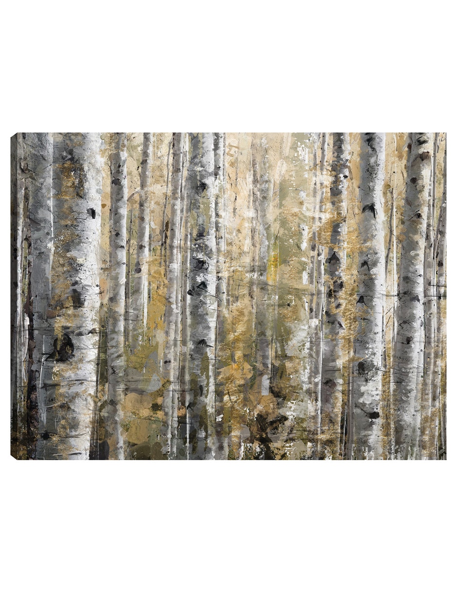 Cuadro decorativo Abedules De Otoño Impresión En Lienzo técnica mixta Bosques