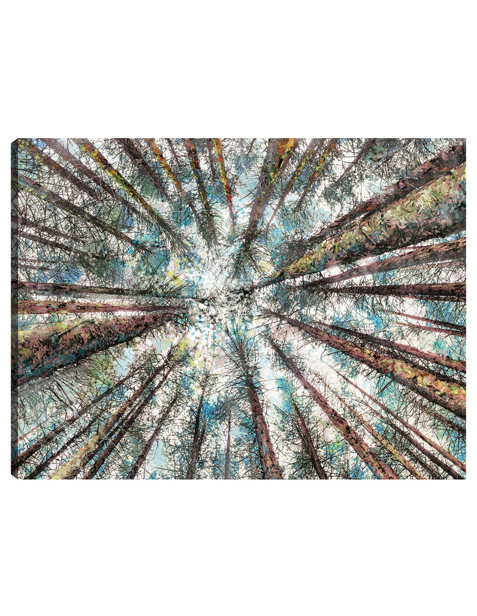 Cuadro decorativo Alturas De Primavera Impresión En Lienzo técnica mixta Bosques