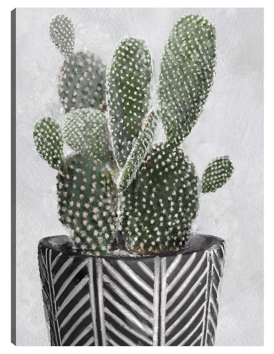 Cuadro decorativo Ambiente Tribal Ii Impresión En Lienzo técnica mixta Macetas