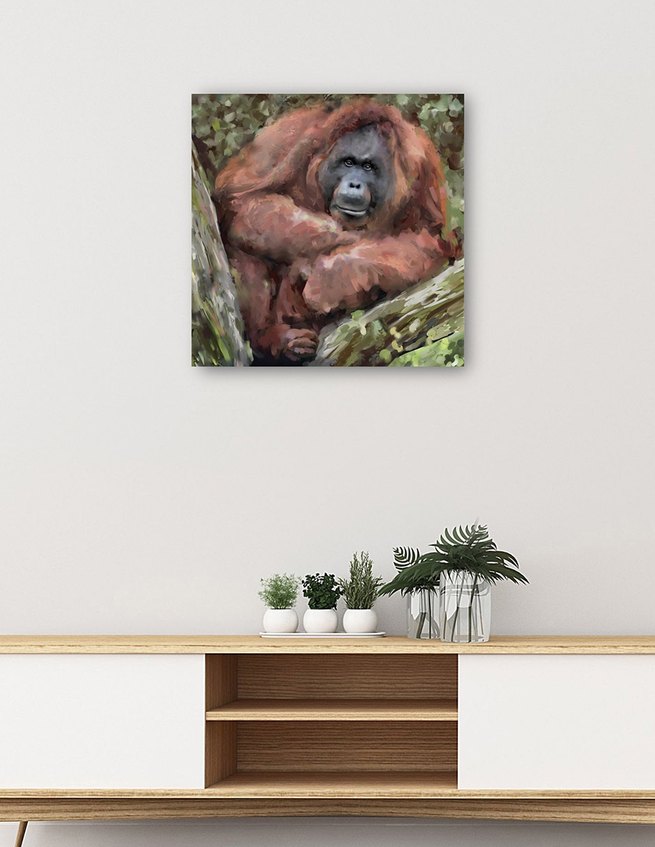 Cuadro decorativo Abrazador De Árboles Iv Impresión En Lienzo técnica mixta Vida Silvestre 5