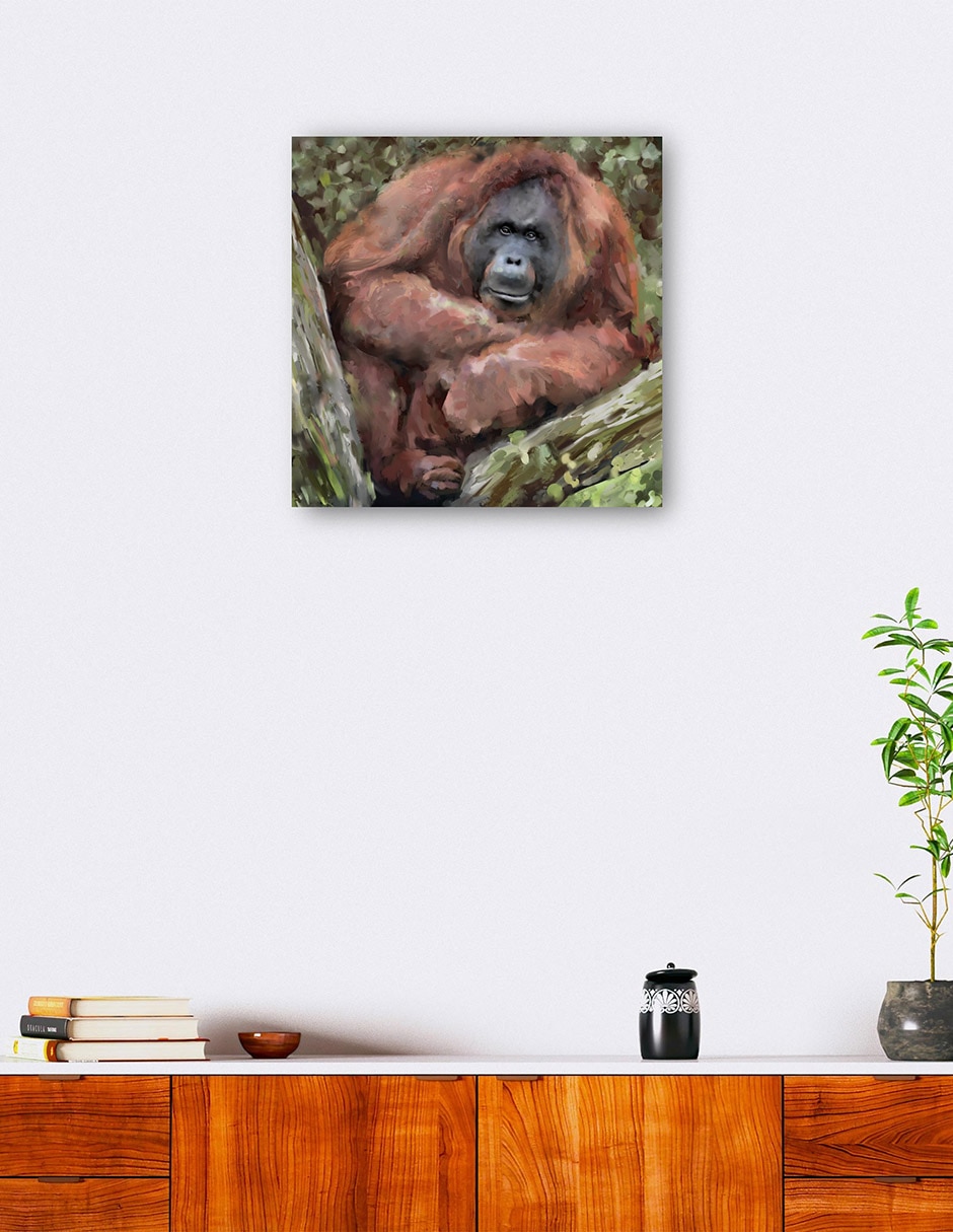Cuadro decorativo Abrazador De Árboles Iv Impresión En Lienzo técnica mixta Vida Silvestre 6