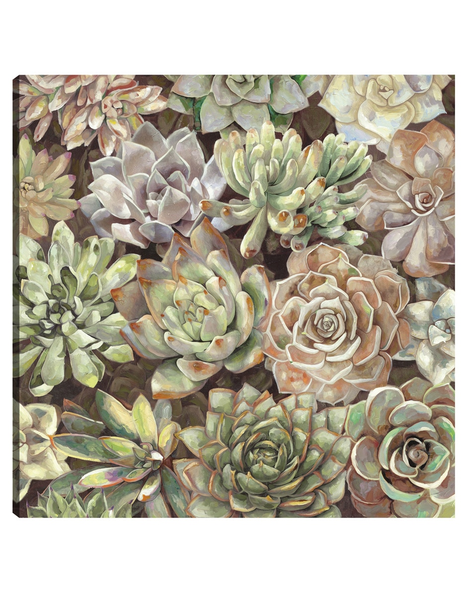 Cuadro decorativo Jardín Del Desierto técnica mixta Floración Cuadro decorativo Jardín Del Desierto técnica mixta Floración