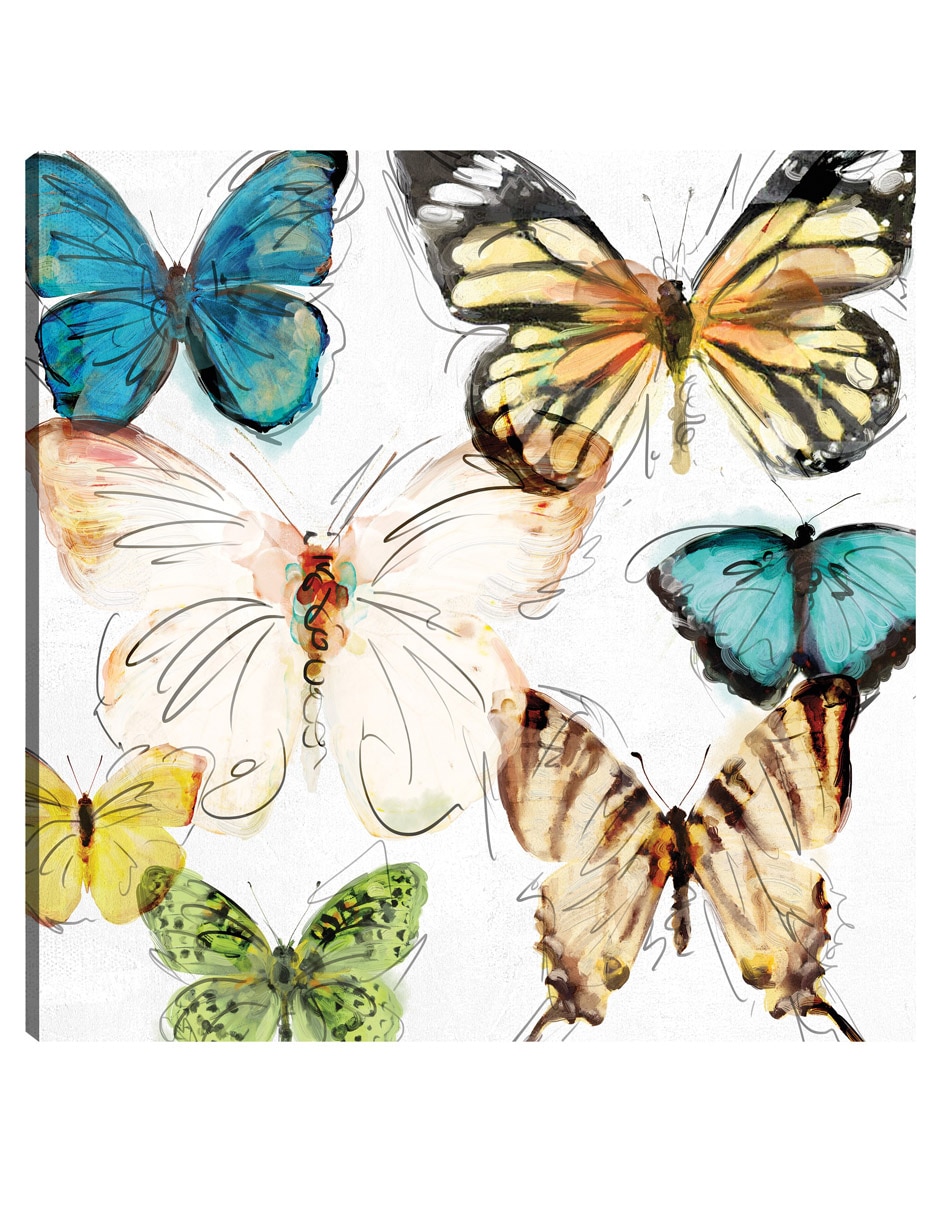 Cuadro decorativo Les Papillons Ii técnica mixta Vida Silvestre
