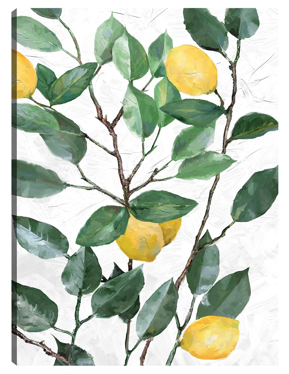 Cuadro decorativo Limonero técnica mixta Frutas Cuadro decorativo Limonero técnica mixta Frutas