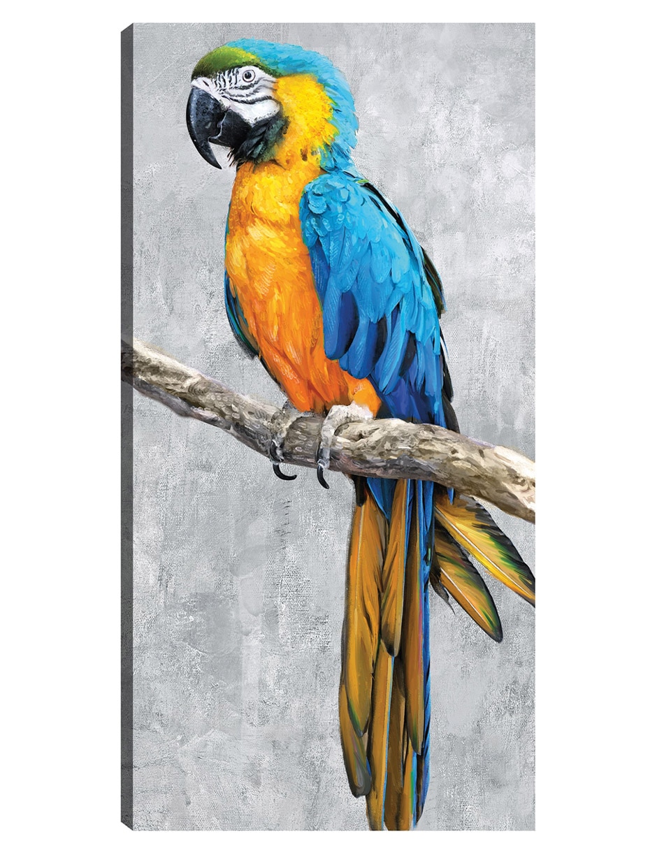 Cuadro decorativo Loros Tropicales Ii técnica mixta Aves Silvestres