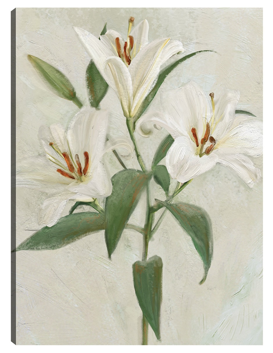 Cuadro decorativo Lys Blancs Ii técnica mixta Floración Cuadro decorativo Lys Blancs Ii técnica mixta Floración