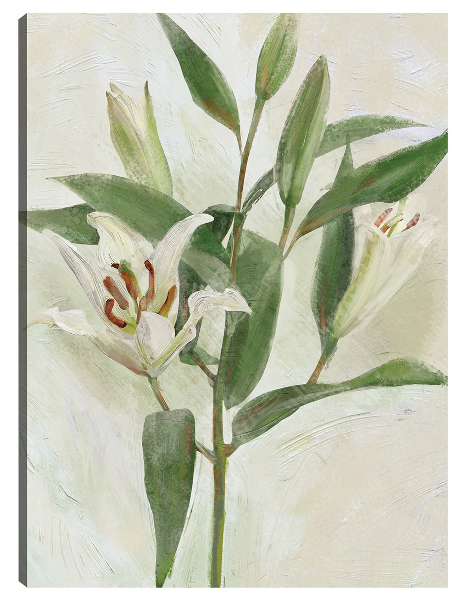 Cuadro decorativo Lys Blancs I técnica mixta Floración