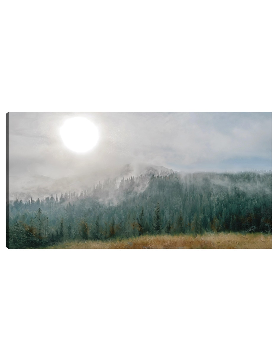 Cuadro decorativo Montaña Resplandor Lunar técnica mixta Bosques
