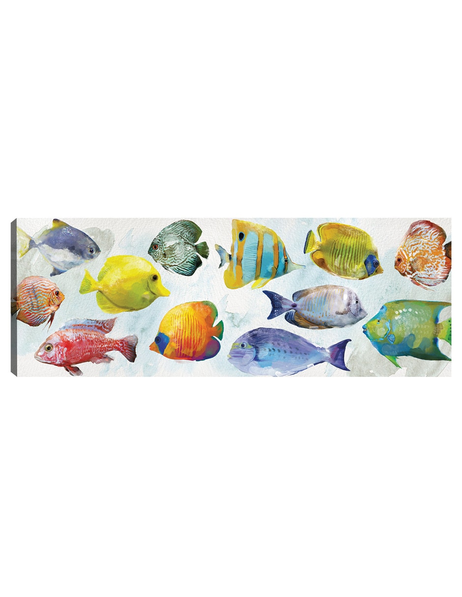 Cuadro decorativo Nado Tropical técnica mixta Animales Marinos Cuadro decorativo Nado Tropical técnica mixta Animales Marinos