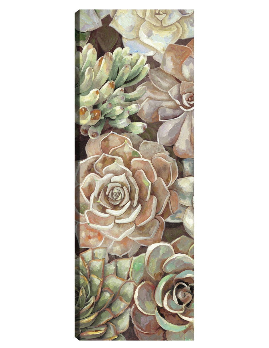 Cuadro decorativo Panel Del Jardín Del Desierto Ii técnica mixta Floración