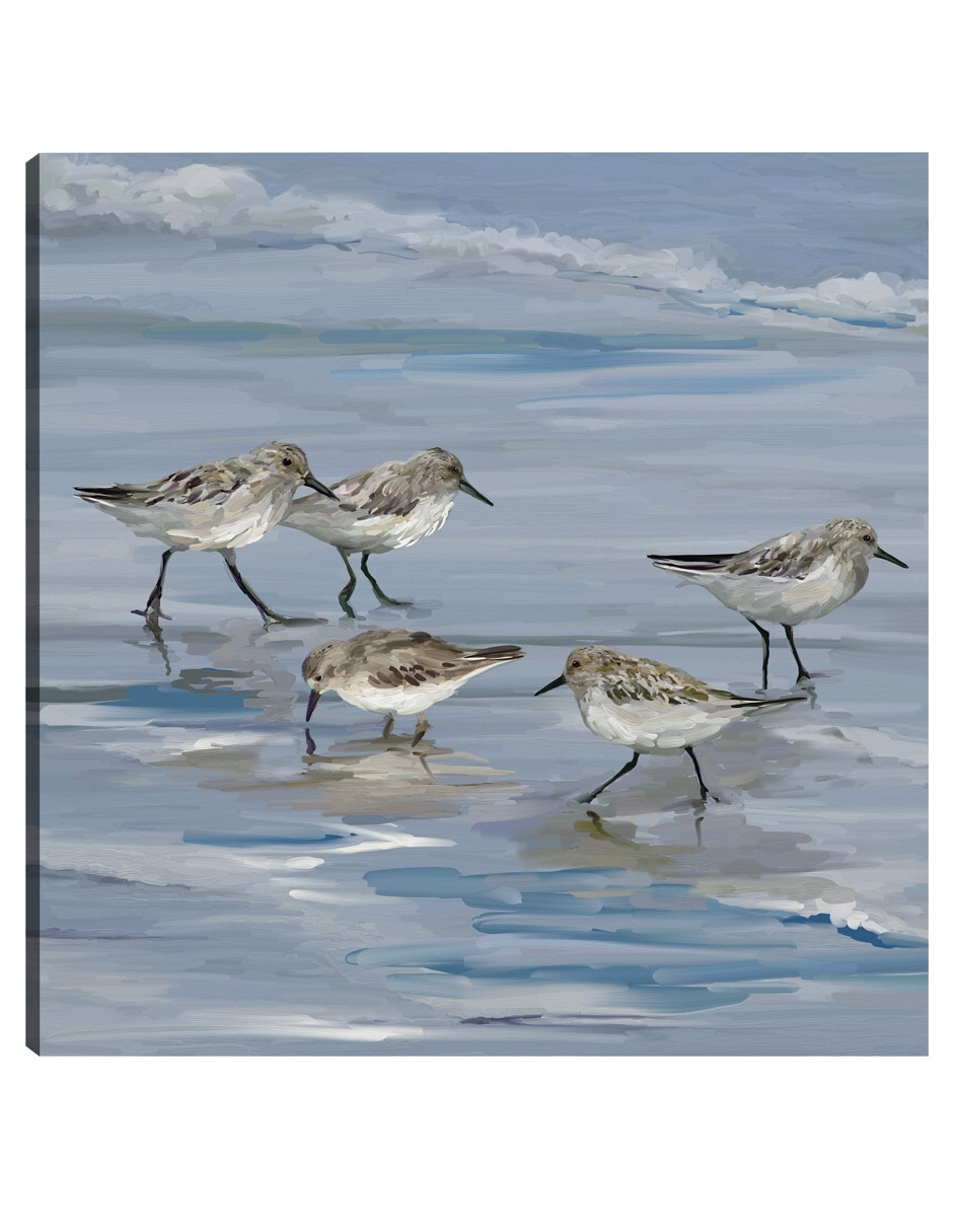 Cuadro decorativo Playa De La Lavandera Ii técnica mixta Aves Silvestres Cuadro decorativo Playa De La Lavandera Ii técnica mixta Aves Silvestres