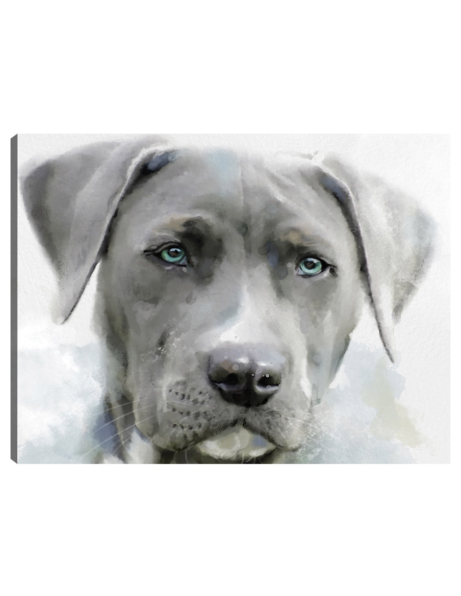 Cuadro decorativo Sabuesos De Galería Ii técnica mixta Animales Domésticos Cuadro decorativo Sabuesos De Galería Ii técnica mixta Animales Domésticos