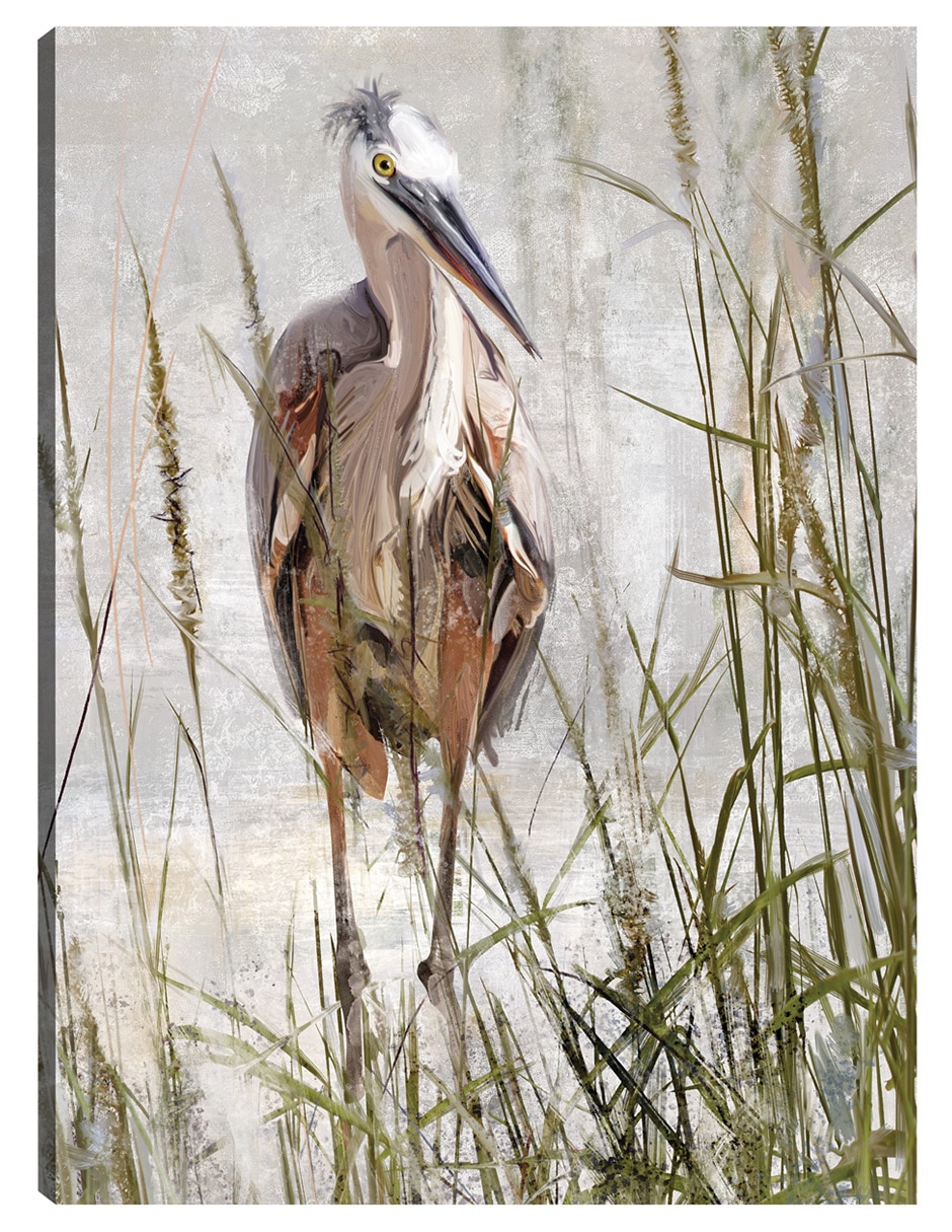 Cuadro decorativo Retrato De Garza Azul técnica mixta Aves Silvestres