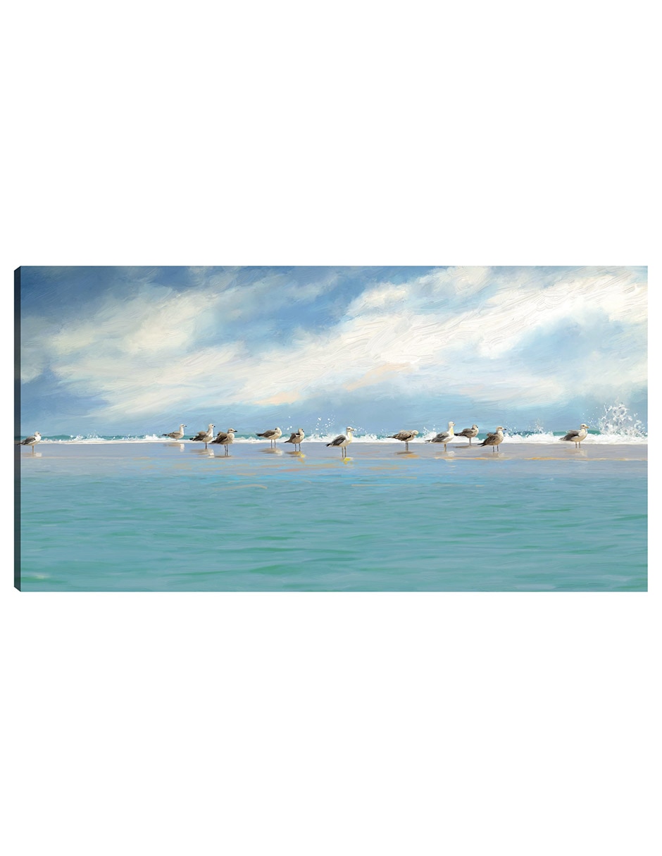 Cuadro decorativo Reunión De Gaviotas 2 técnica mixta Aves Silvestres Cuadro decorativo Reunión De Gaviotas 2 técnica mixta Aves Silvestres