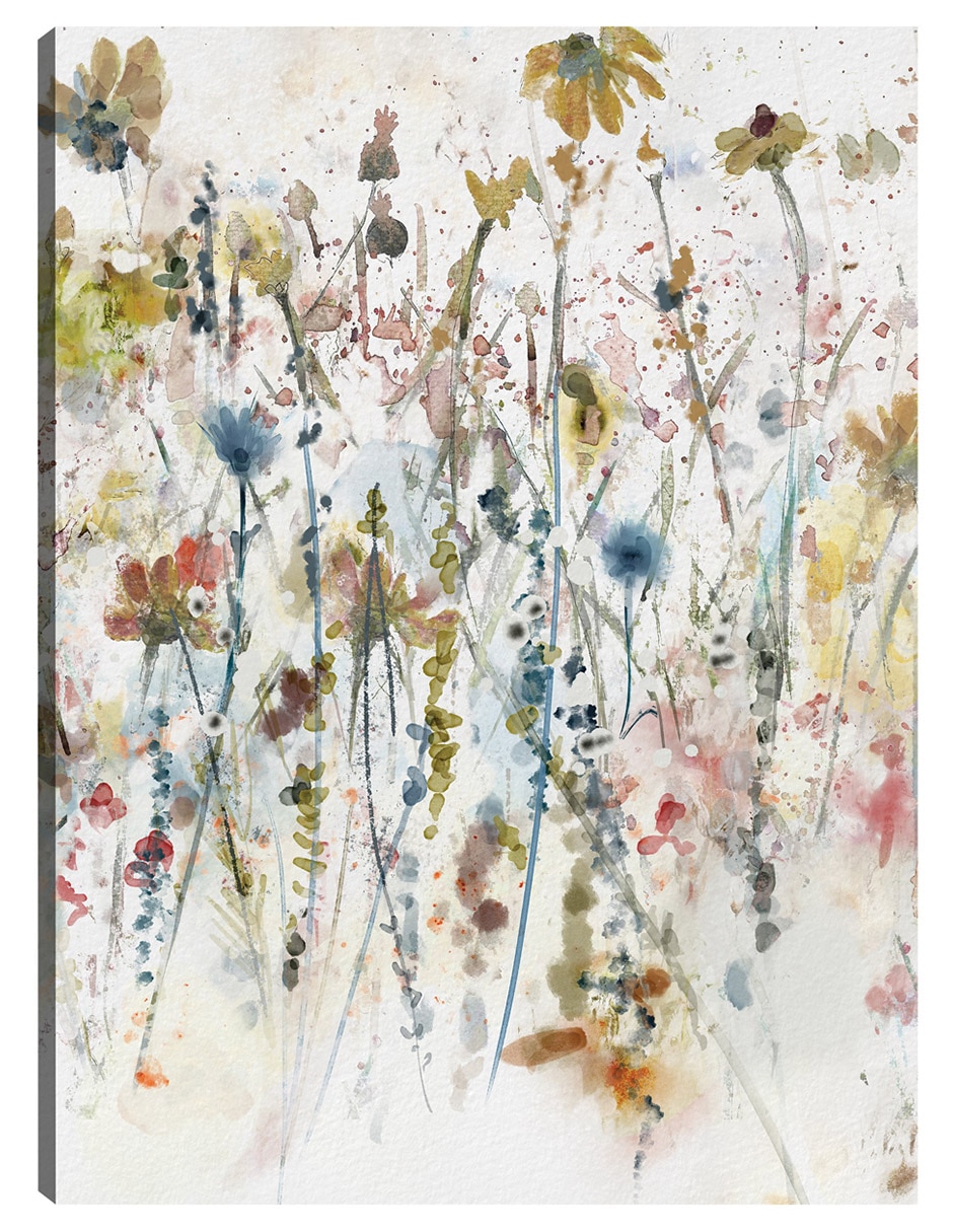 Cuadro decorativo Retrato De Flores Silvestres En Acuarela Ii técnica mixta Primavera
