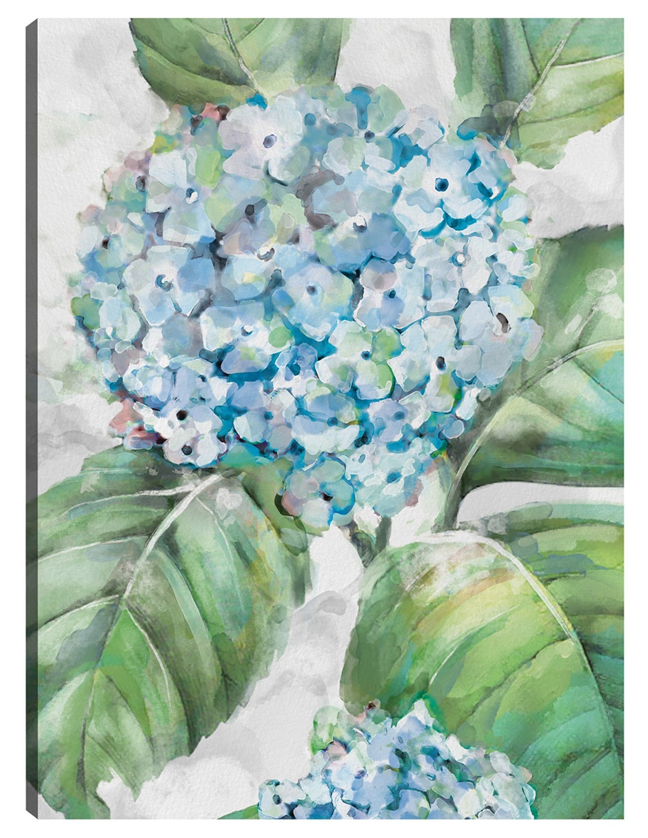 Cuadro decorativo Retratos De Hortensias Ii técnica mixta Floración Cuadro decorativo Retratos De Hortensias Ii técnica mixta Floración