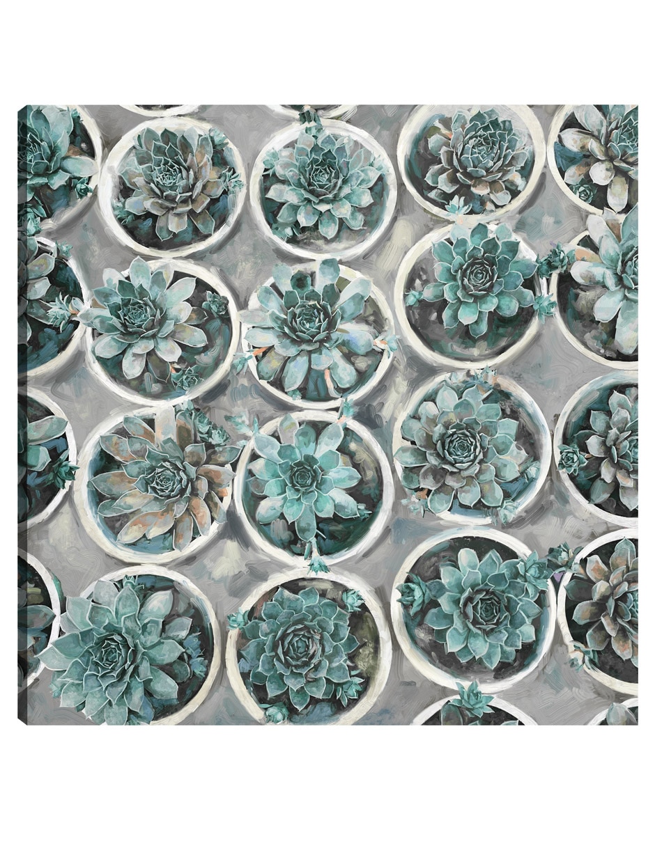 Cuadro decorativo Selecciones técnica mixta Macetas Cuadro decorativo Selecciones técnica mixta Macetas