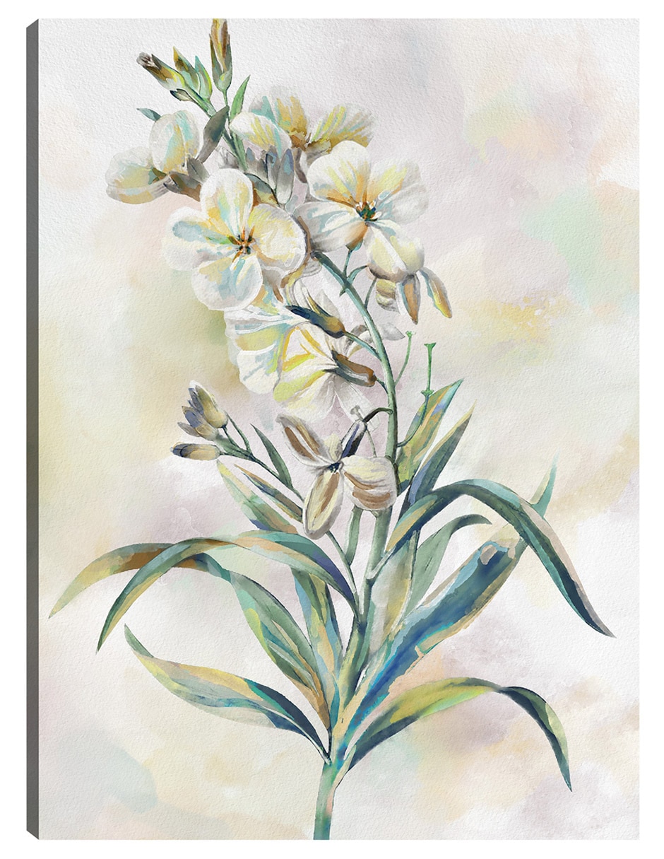 Cuadro decorativo Susurros Botánicos Iii técnica mixta Floración Cuadro decorativo Susurros Botánicos Iii técnica mixta Floración