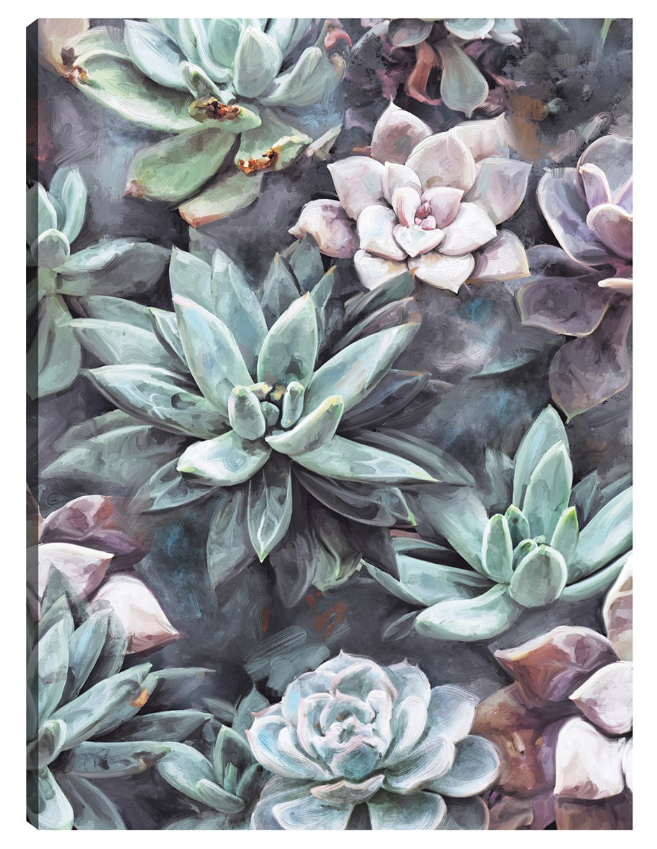 Cuadro decorativo Suculentas En Gris técnica mixta Floración Cuadro decorativo Suculentas En Gris técnica mixta Floración