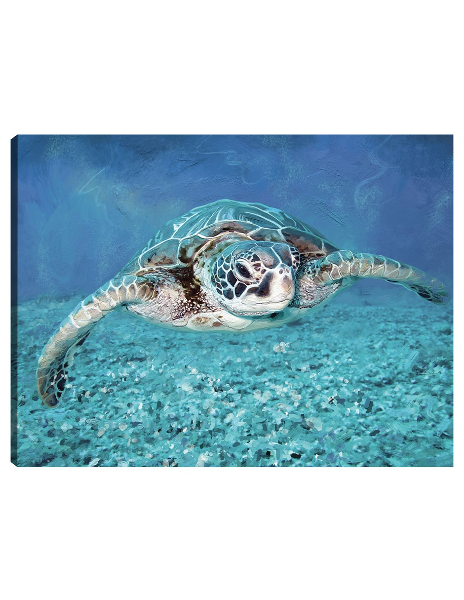 Cuadro decorativo Tortuga Marina técnica mixta Animales Marinos Cuadro decorativo Tortuga Marina técnica mixta Animales Marinos