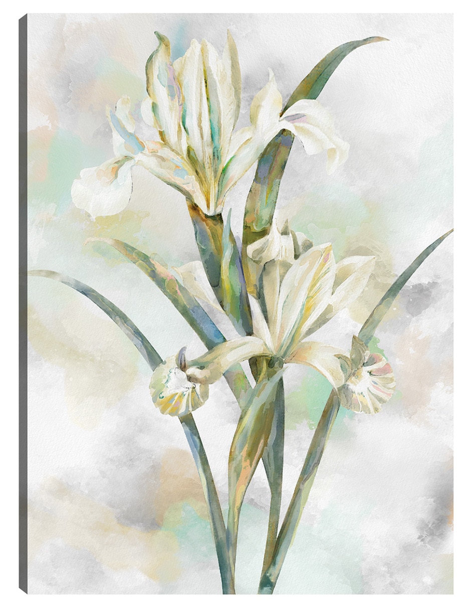 Cuadro decorativo Susurros Botánicos Ii técnica mixta Floración Cuadro decorativo Susurros Botánicos Ii técnica mixta Floración