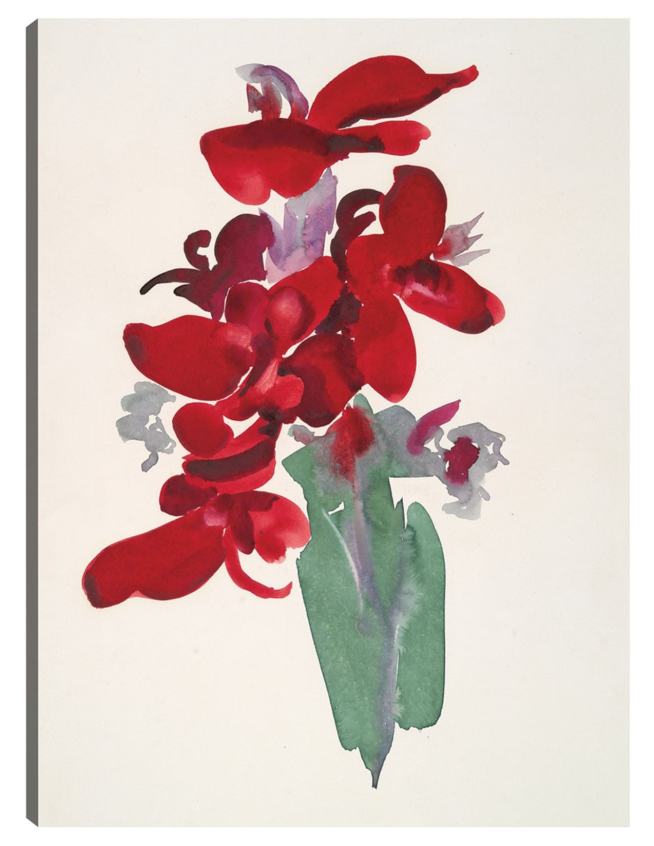 Cuadro decorativo Canna Roja (1915) técnica mixta Floreros Cuadro decorativo Canna Roja (1915) técnica mixta Floreros