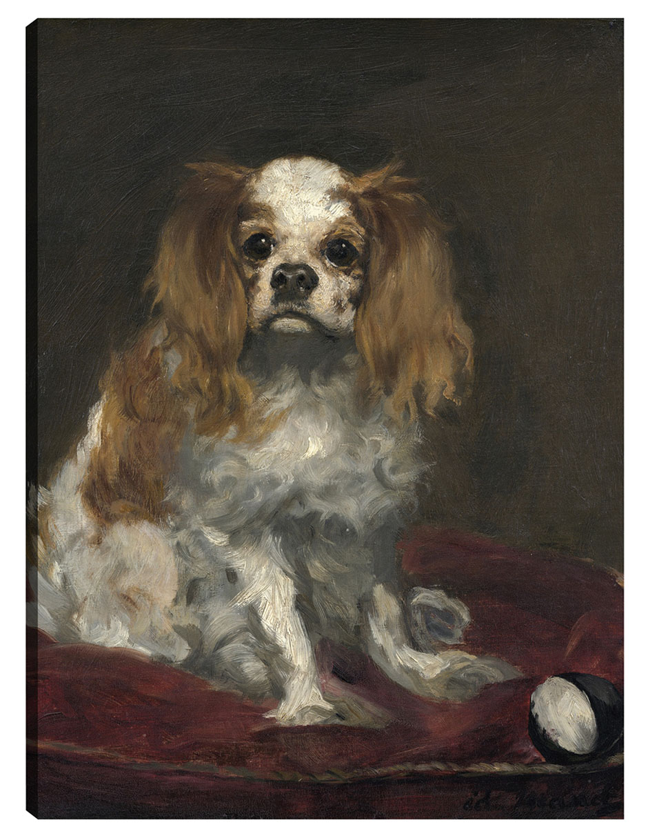 Cuadro decorativo Un Rey Charles Spaniel (C. 1866) técnica mixta Animales Domésticos
