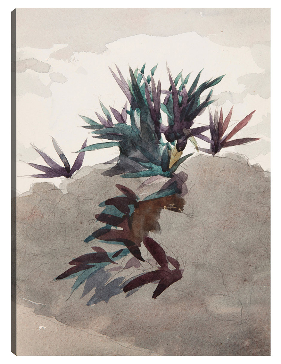 Cuadro decorativo Ladera Con Macizos De Maguey (1898-1899) técnica mixta Formas Cuadro decorativo Ladera Con Macizos De Maguey (1898-1899) técnica mixta Formas