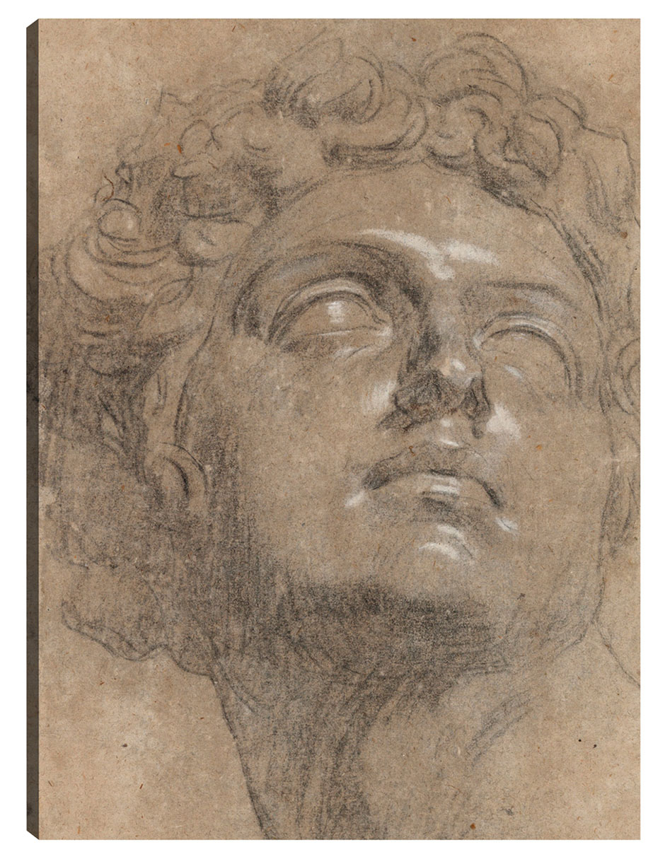 Cuadro decorativo Cabeza De Giuliano De Medici, Después De Miguel Ángel - Impresión En Lienzo técnica mixta Cuadro decorativo Cabeza De Giuliano De Medici, Después De Miguel Ángel - Impresión En Lienzo técnica mixta