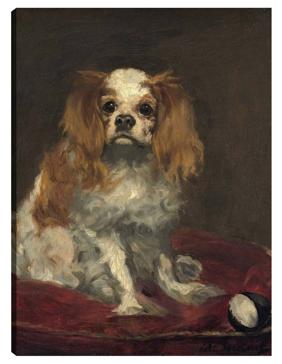 Cuadro decorativo Un Rey Charles Spaniel técnica mixta Animales Domésticos Cuadro decorativo Un Rey Charles Spaniel técnica mixta Animales Domésticos