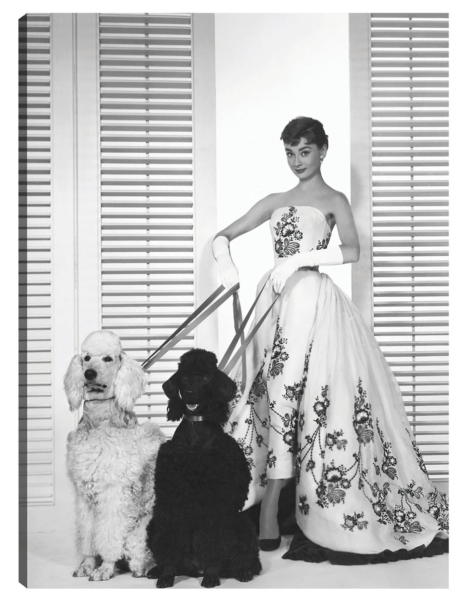 Cuadro decorativo Audrey Hepburn En Sabrina (1954) técnica mixta Retratos Cuadro decorativo Audrey Hepburn En Sabrina (1954) técnica mixta Retratos