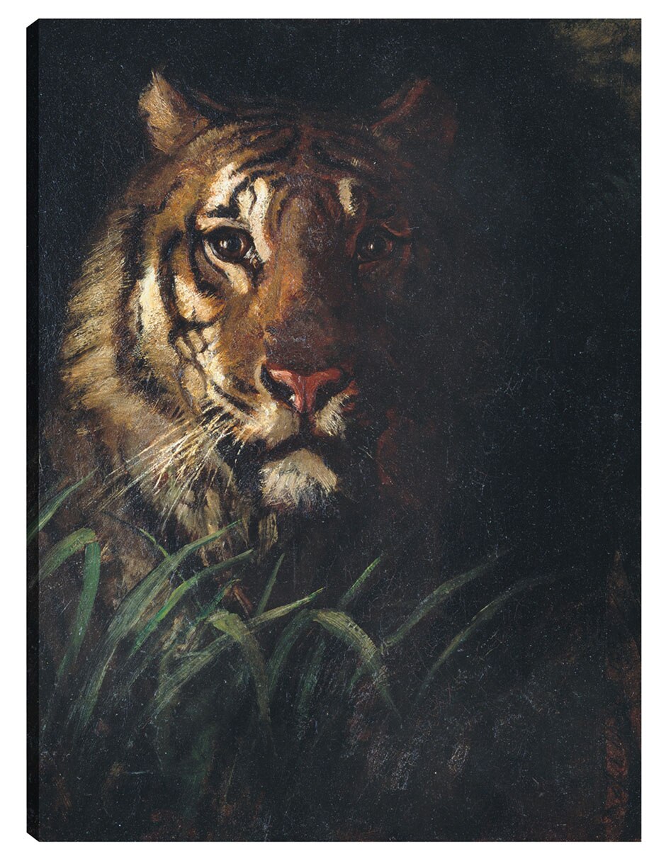 Cuadro decorativo Cabeza De Tigre (Hacia 1874) técnica mixta Vida Silvestre Cuadro decorativo Cabeza De Tigre (Hacia 1874) técnica mixta Vida Silvestre