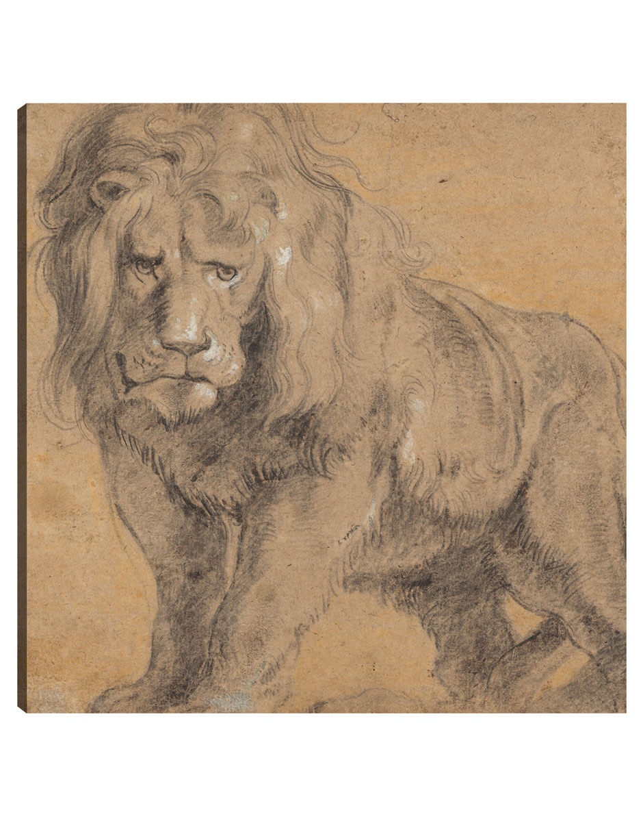 Cuadro decorativo León (C. 1612-1613) técnica mixta Bocetos Cuadro decorativo León (C. 1612-1613) técnica mixta Bocetos