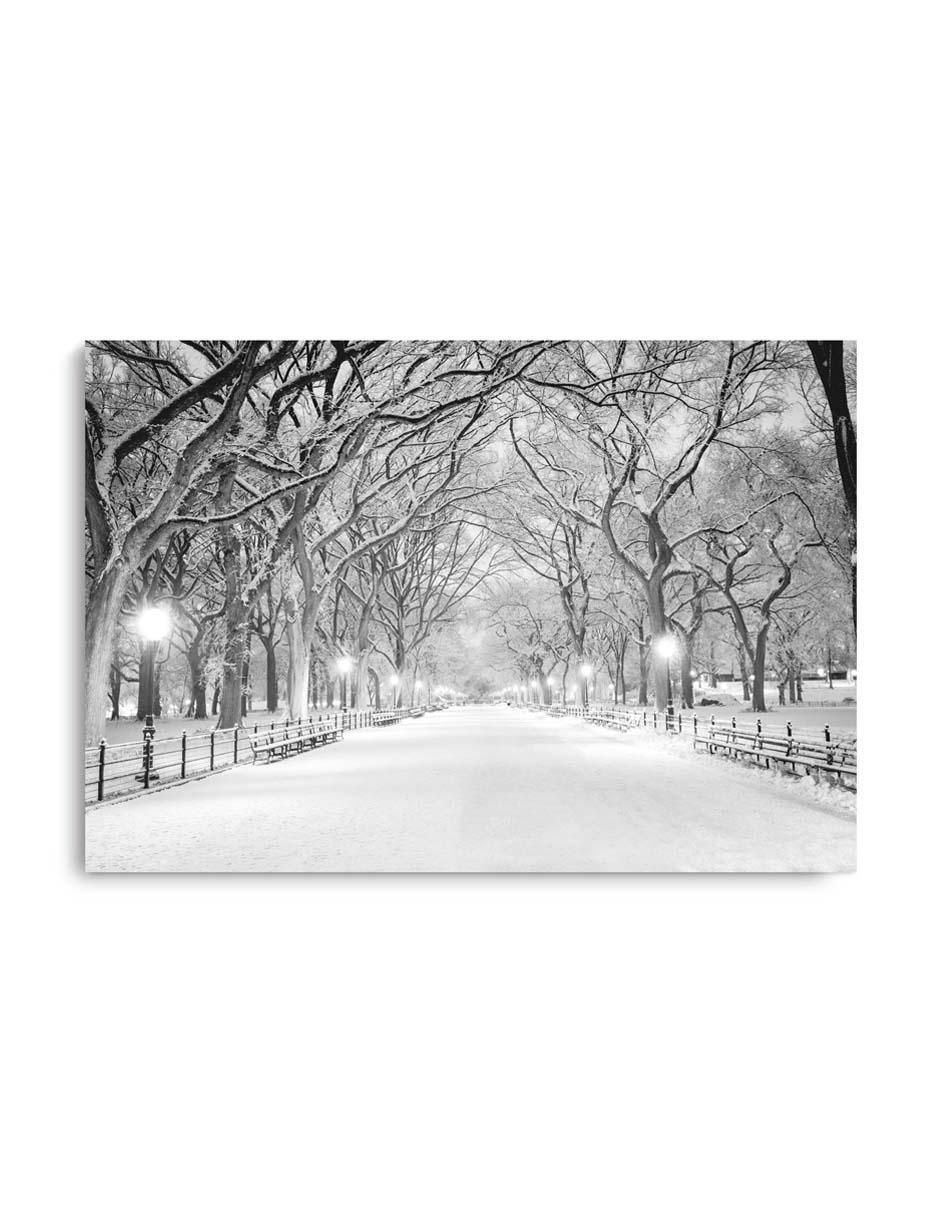 Cuadro decorativo Canvas Art Central park nyc con barniz a registro
