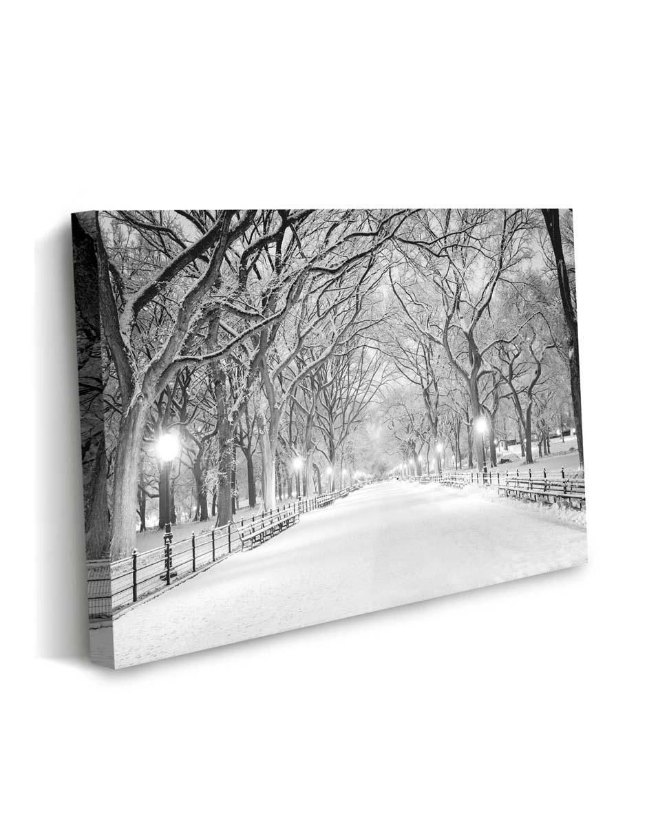 Cuadro decorativo Canvas Art Central park nyc con barniz a registro