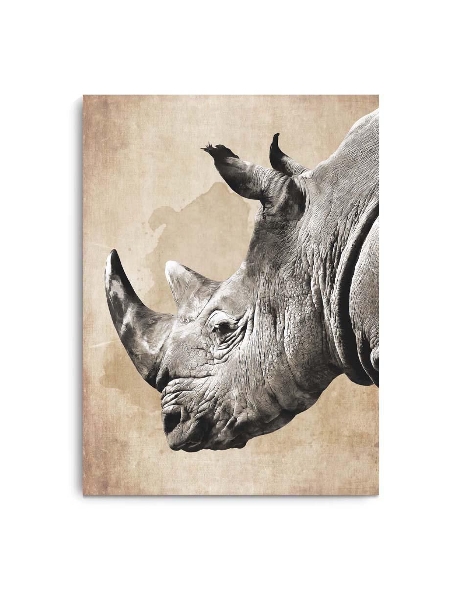 Cuadro decorativo Canvas Art Cabeza de rinoceronte vintage con barniz a registro