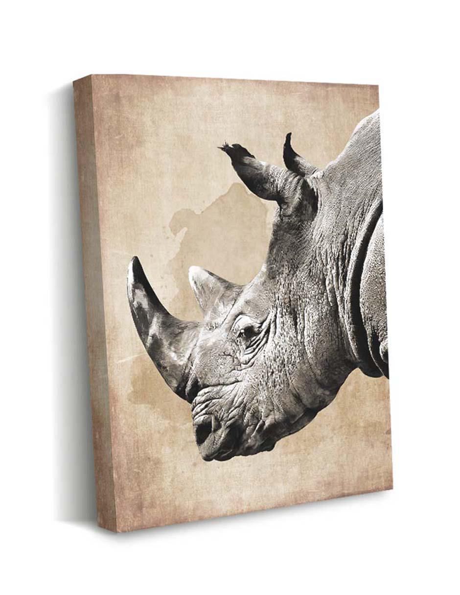 Cuadro decorativo Canvas Art Cabeza de rinoceronte vintage con barniz a registro