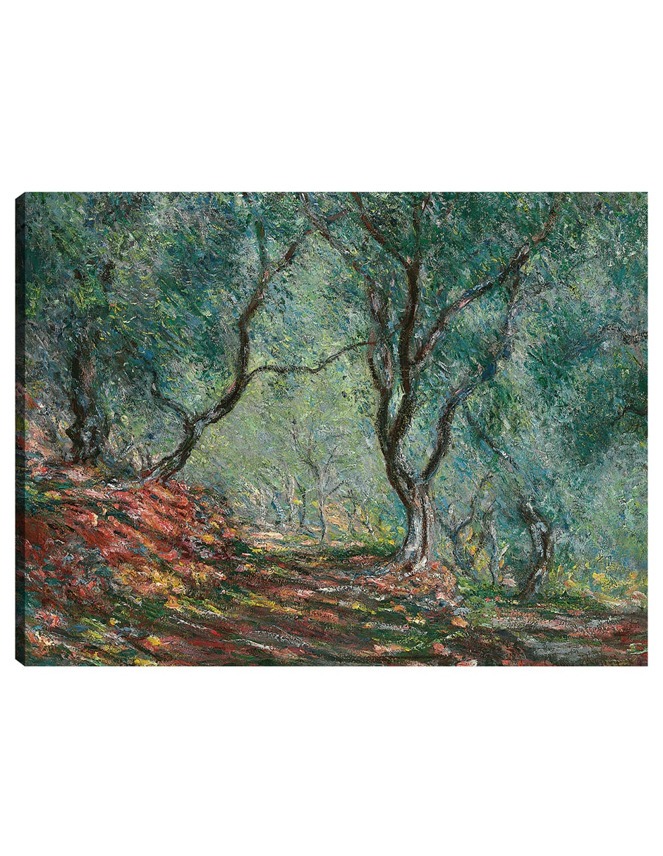 Cuadro decorativo Bosque De Oliviers En El Jardín Moreno (1884) técnica mixta Campos Cuadro decorativo Bosque De Oliviers En El Jardín Moreno (1884) técnica mixta Campos