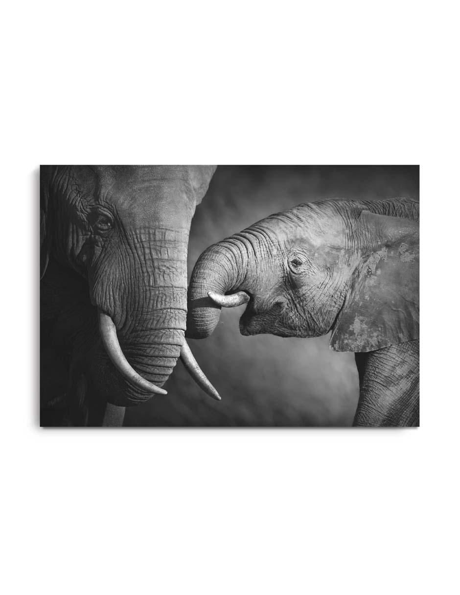 Cuadro decorativo Canvas Art Familia de elefantes con barniz a registro