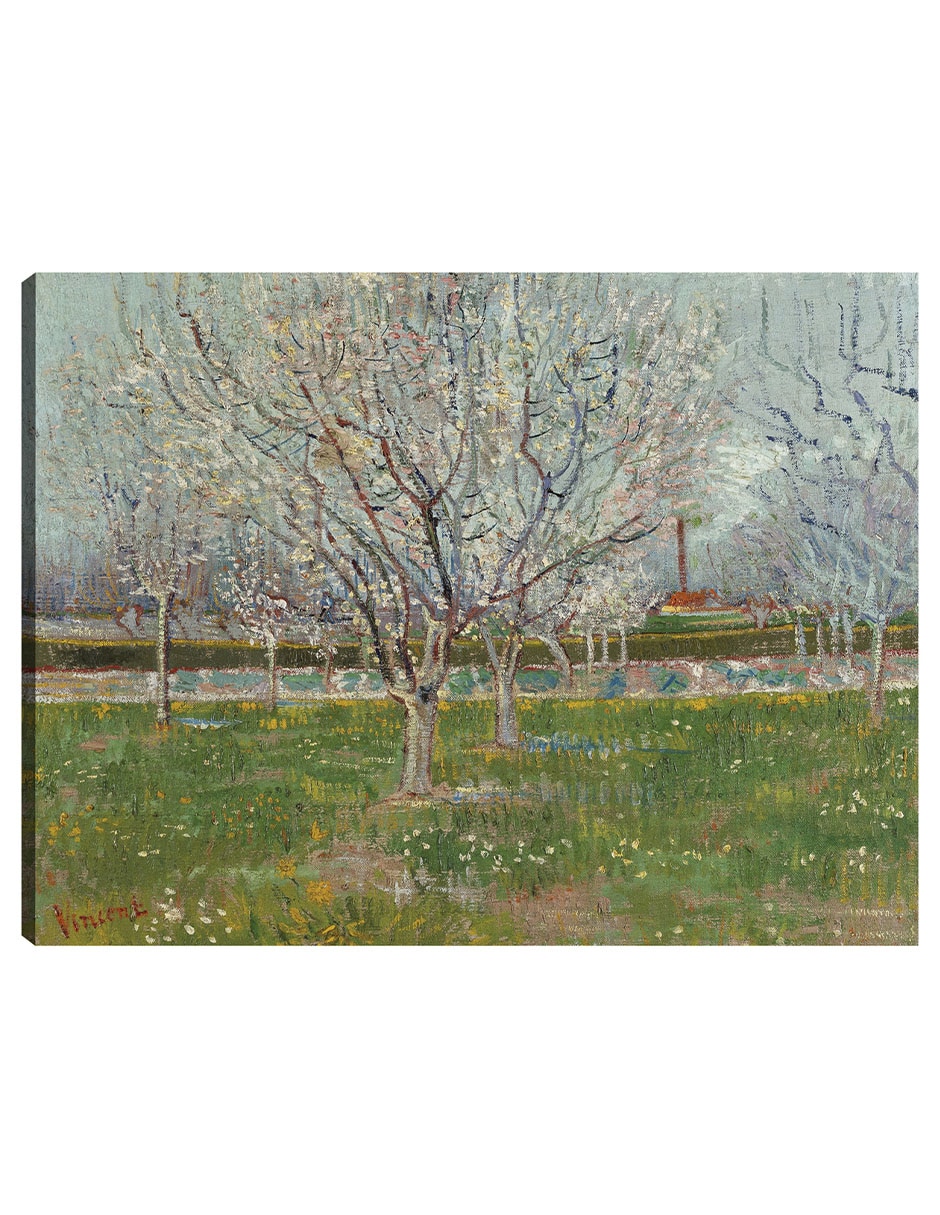 Cuadro decorativo Huerto En Flor (Ciruelos) técnica mixta Campos