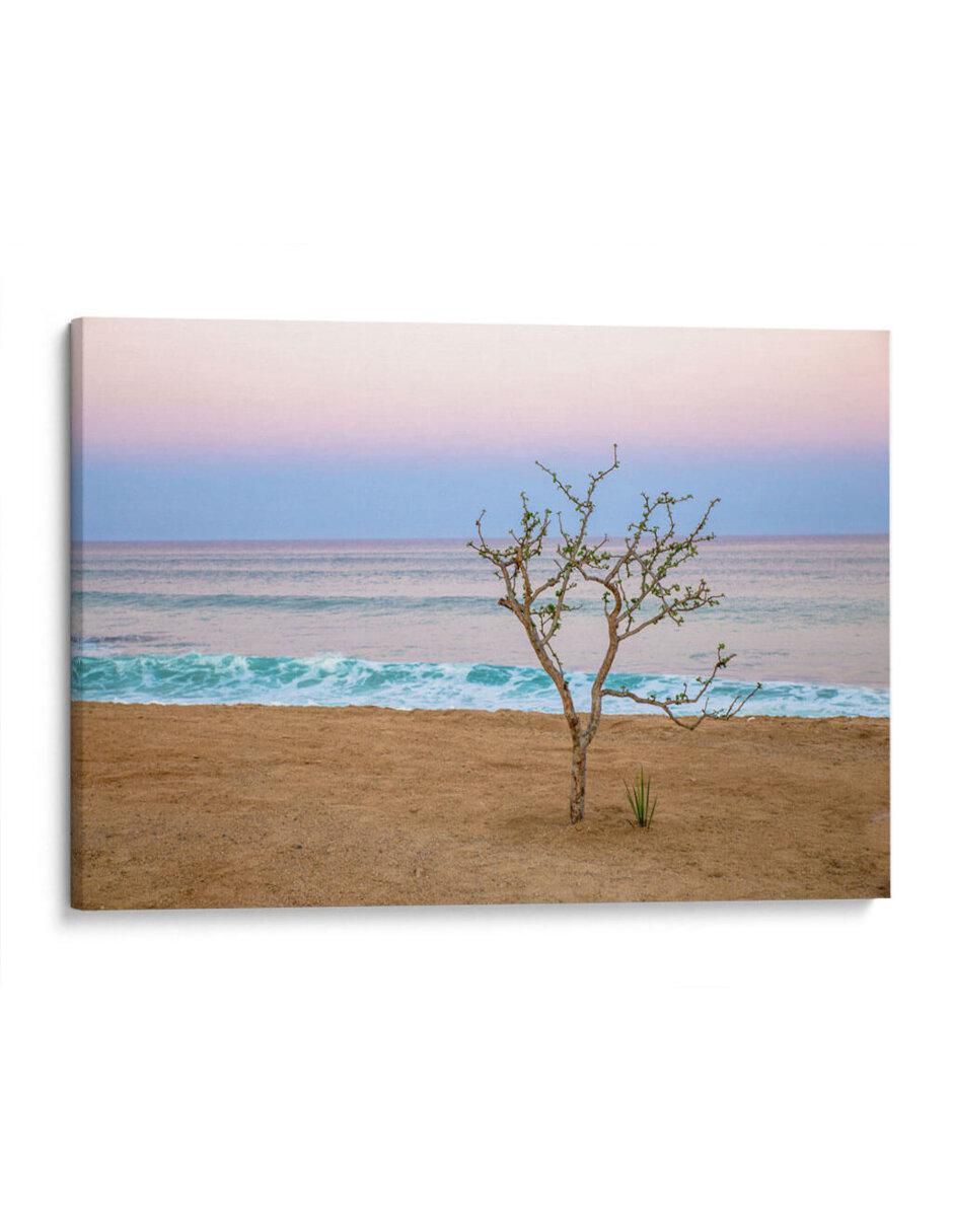 Cuadro decorativo Atardecer en cabo por emilio santamaria Cuadro decorativo Atardecer en cabo por emilio santamaria