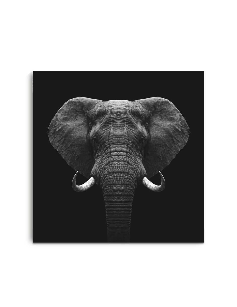 Cuadro decorativo Canvas Art Elefante con barniz a registro