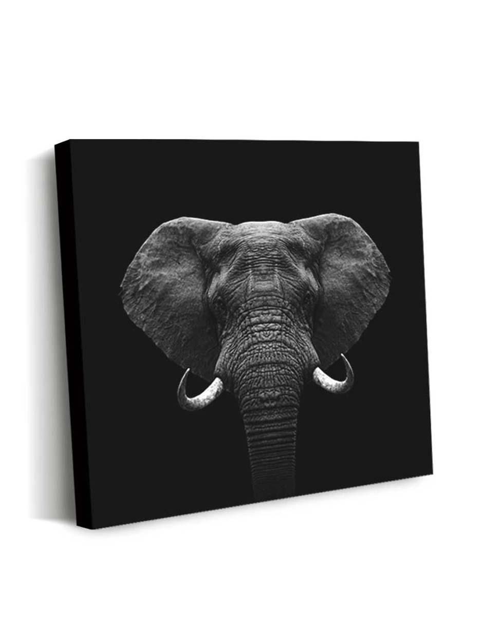 Cuadro decorativo Canvas Art Elefante con barniz a registro