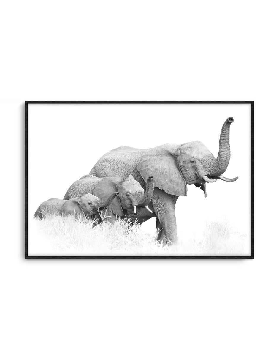 Cuadro decorativo Canvas Art Tres elefantes africanos de Bush con barniz a registro