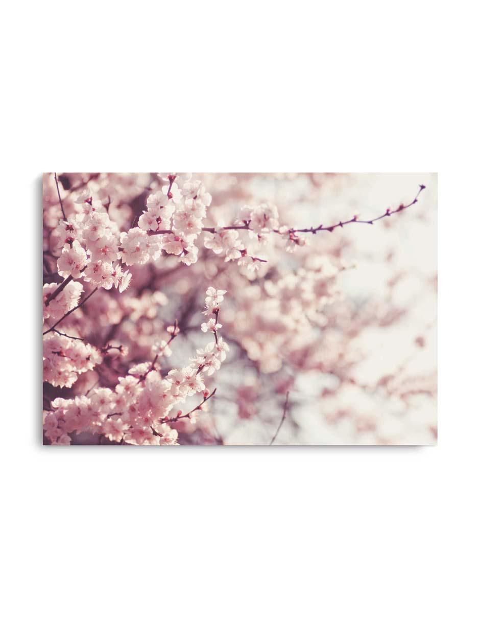 Cuadro decorativo Canvas Art Flores de cerezo en primavera con barniz a registro