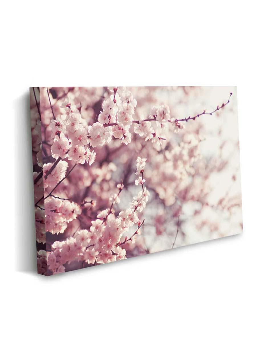 Cuadro decorativo Canvas Art Flores de cerezo en primavera con barniz a registro