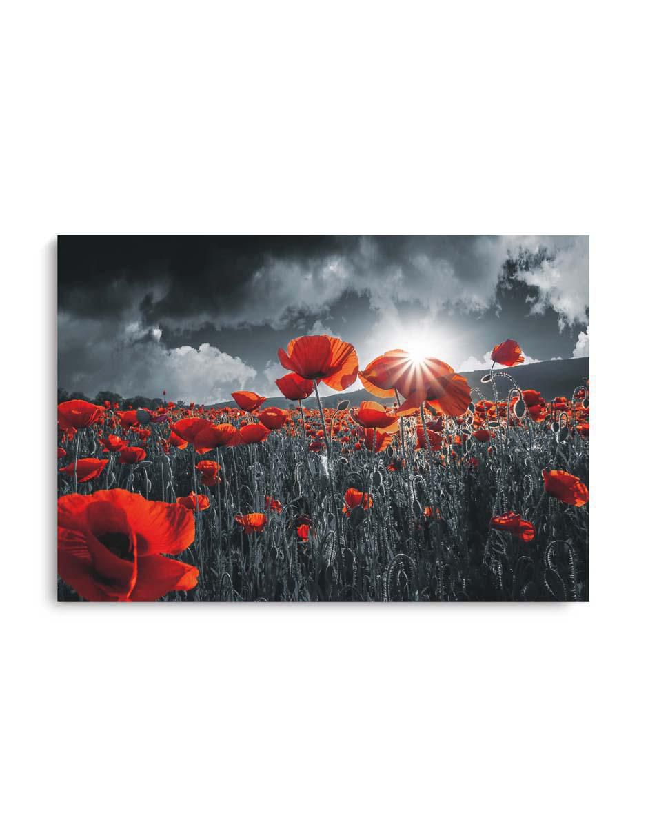 Cuadro decorativo Canvas Art Canvas nubes obscuras con barniz a registro 130x80